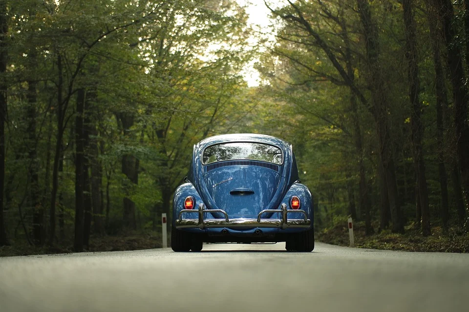 Vw 甲虫 車 クラシックカー 森林 屋外 道 ドライブ 道路の旅 旅行 トラベル 木